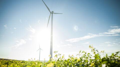 Windräder in der Wetterau