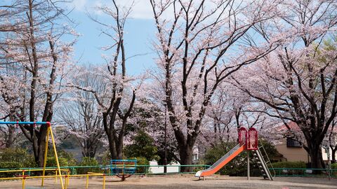 Spielplatz unter Bäumen